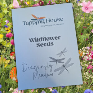 Dragonfly Meadow Seeds